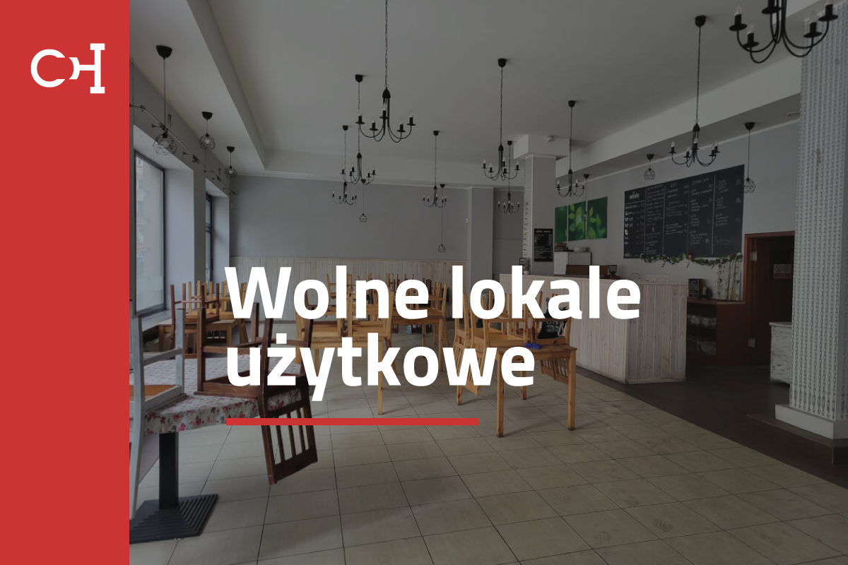 Wolne lokale użytkowe do wynajęcia
